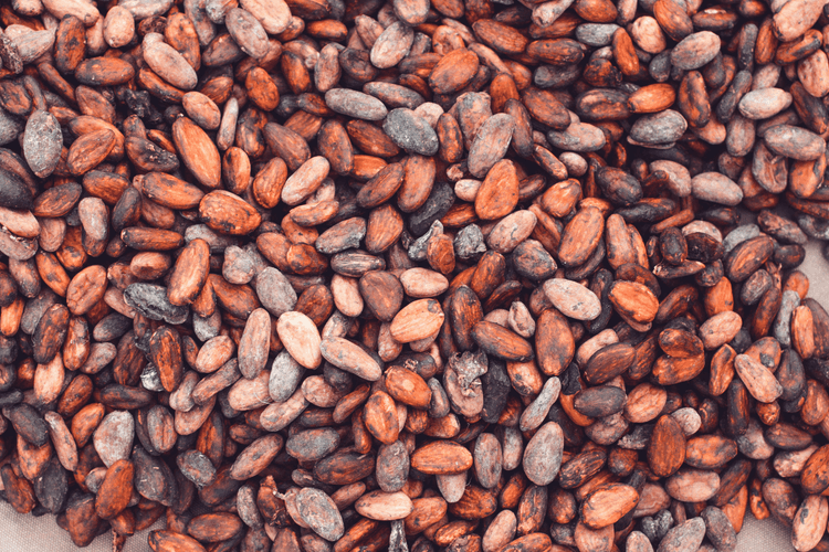 Grade 3 Cacao : Commercial